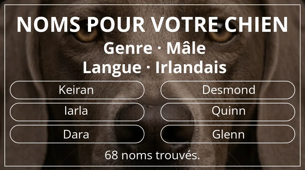 Noms pour chiens basés sur genre mâle et langue irlandais