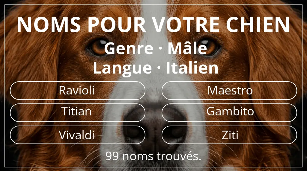Noms pour chiens inspirés de genre mâle et langue italien