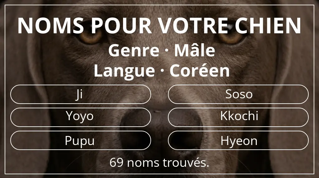 Noms de chiens inspirés de genre mâle et langue coréen