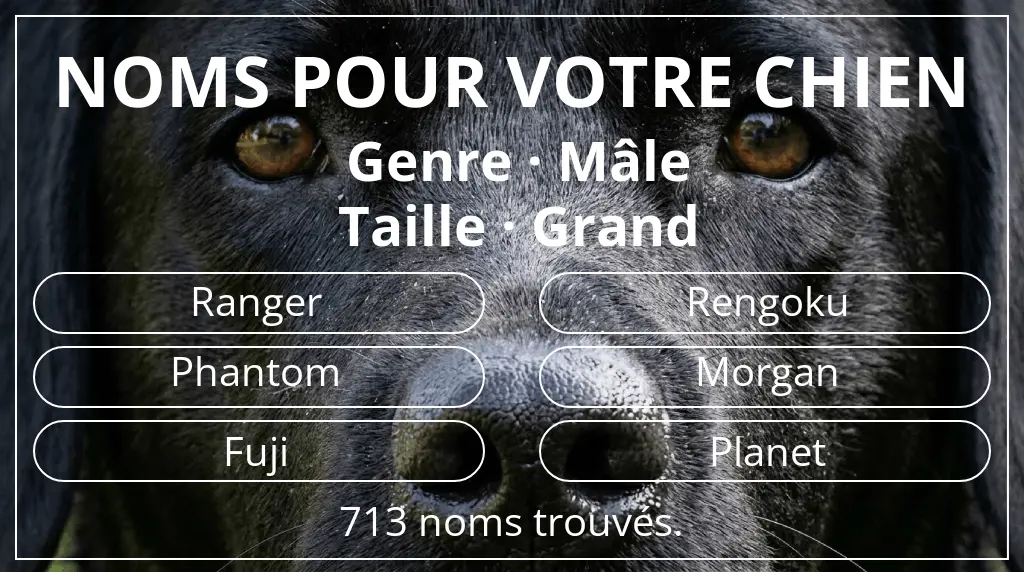 Noms de chiens inspirés de genre mâle et taille grand