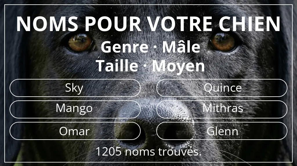 Noms de chiens basés sur genre mâle et taille moyen