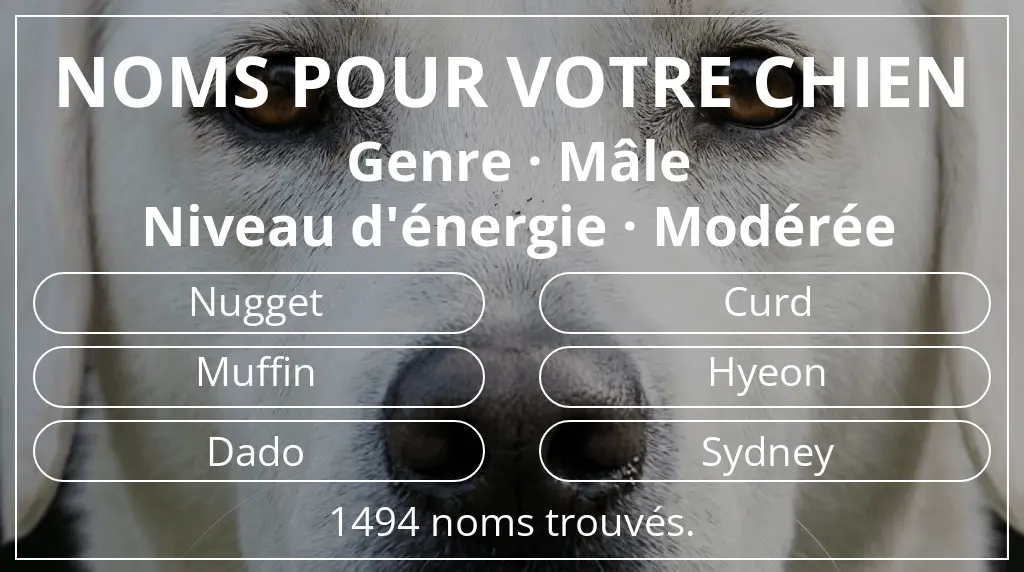 Noms de chiens basés sur genre mâle et niveau d'énergie modérée
