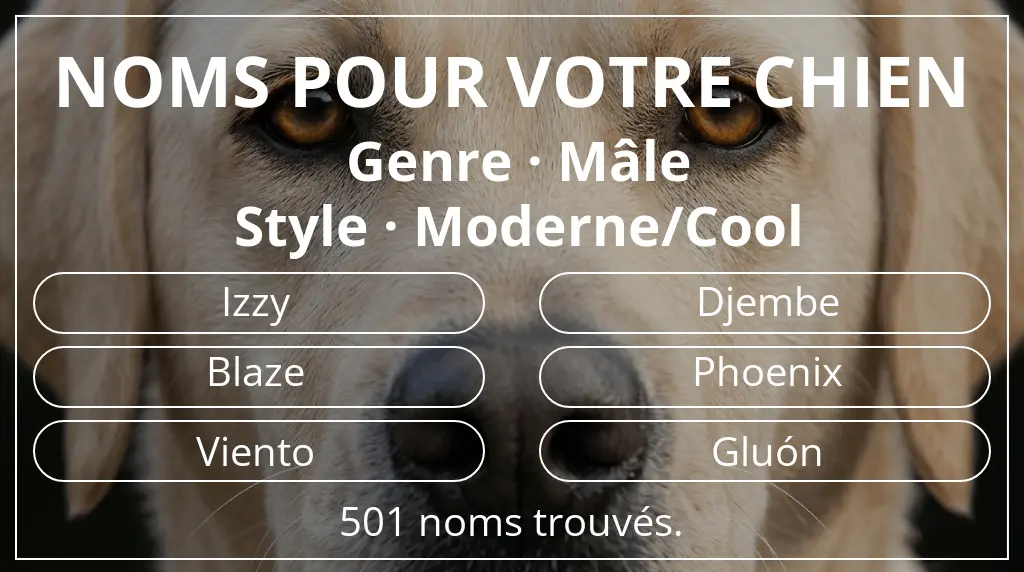 Noms pour chiens inspirés de genre mâle et style moderne/cool