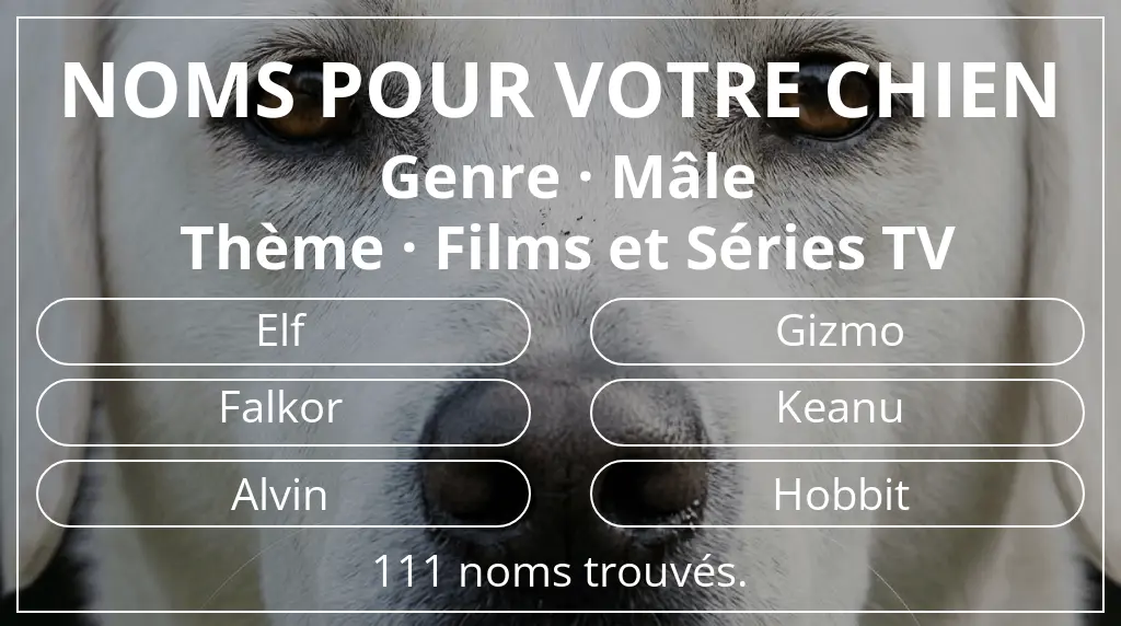 Noms de chiens inspirés de genre mâle et thème films et séries tv