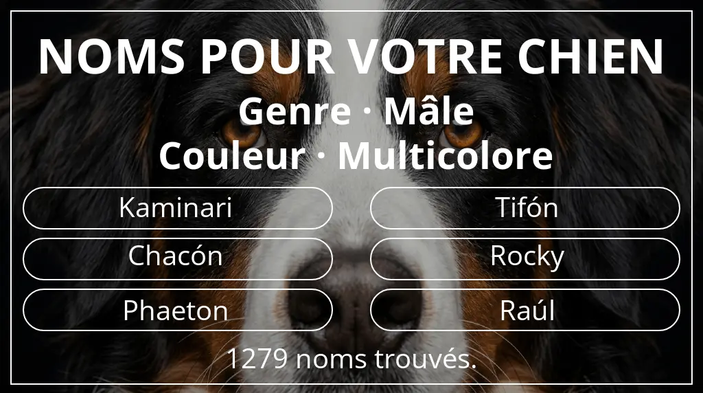 Noms de chiens basés sur genre mâle et couleur multicolore