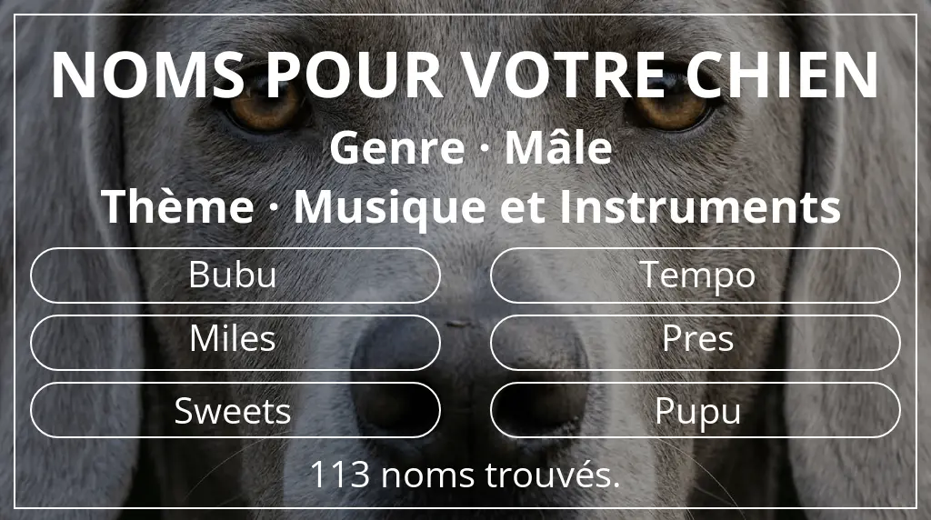 Noms pour chiens basés sur genre mâle et thème musique et instruments