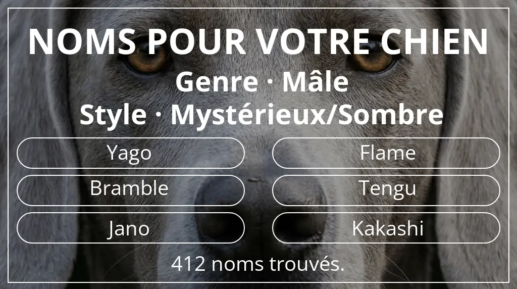 Noms pour chiens inspirés de genre mâle et style mystérieux/sombre