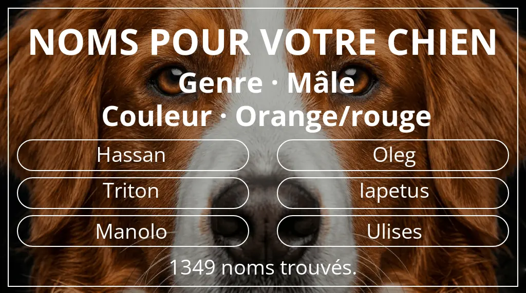 Noms pour chiens basés sur genre mâle et couleur orange/rouge