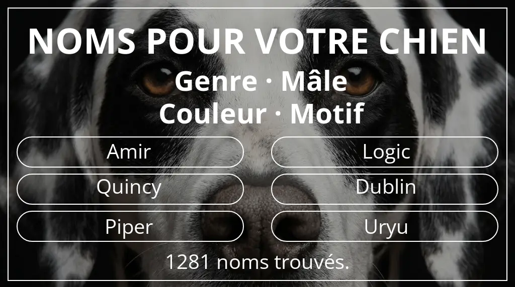Noms pour chiens inspirés de genre mâle et couleur motif