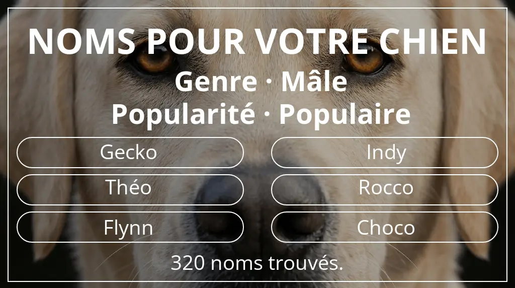 Noms de chiens basés sur genre mâle et popularité populaire