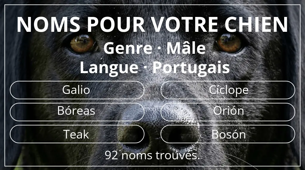 Noms de chiens inspirés de genre mâle et langue portugais
