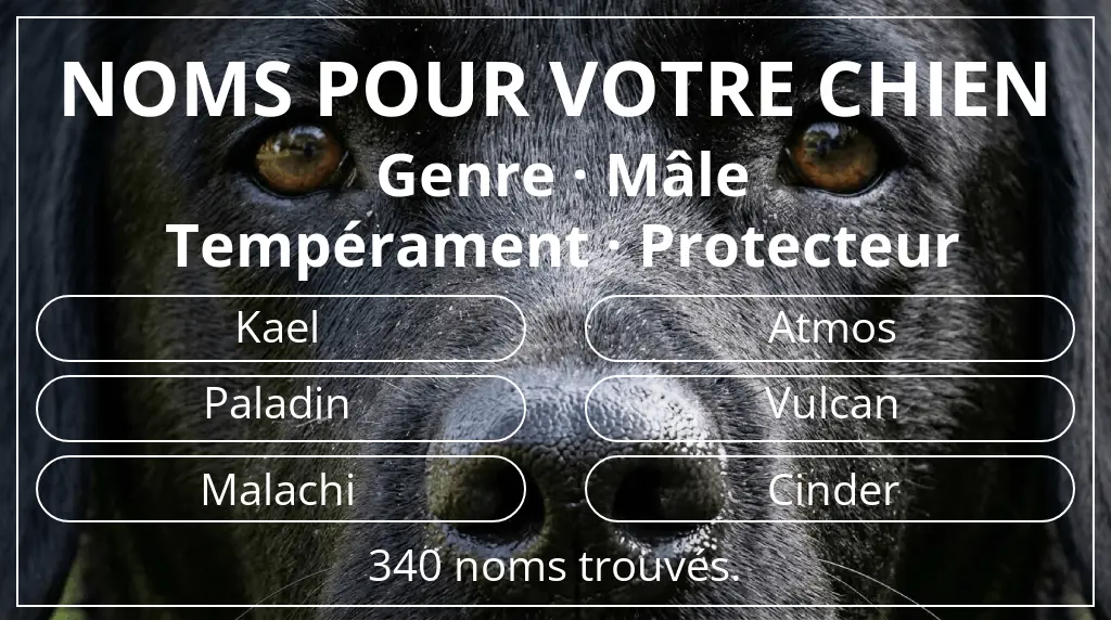 Noms de chiens inspirés de genre mâle et tempérament protecteur