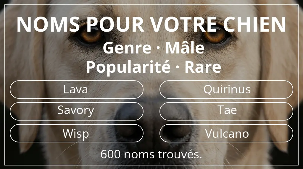 Noms pour chiens basés sur genre mâle et popularité rare