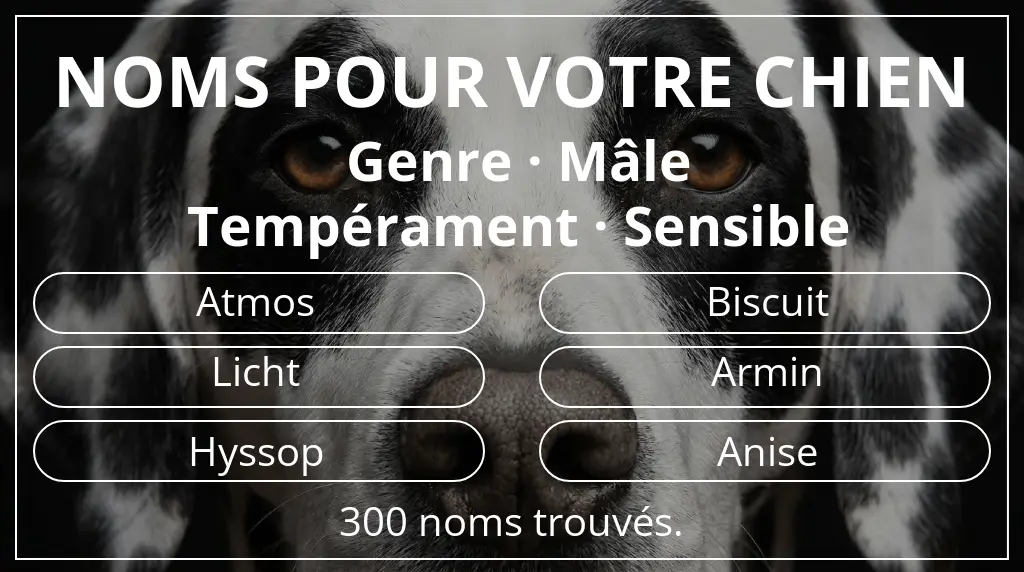 Noms de chiens basés sur genre mâle et tempérament sensible