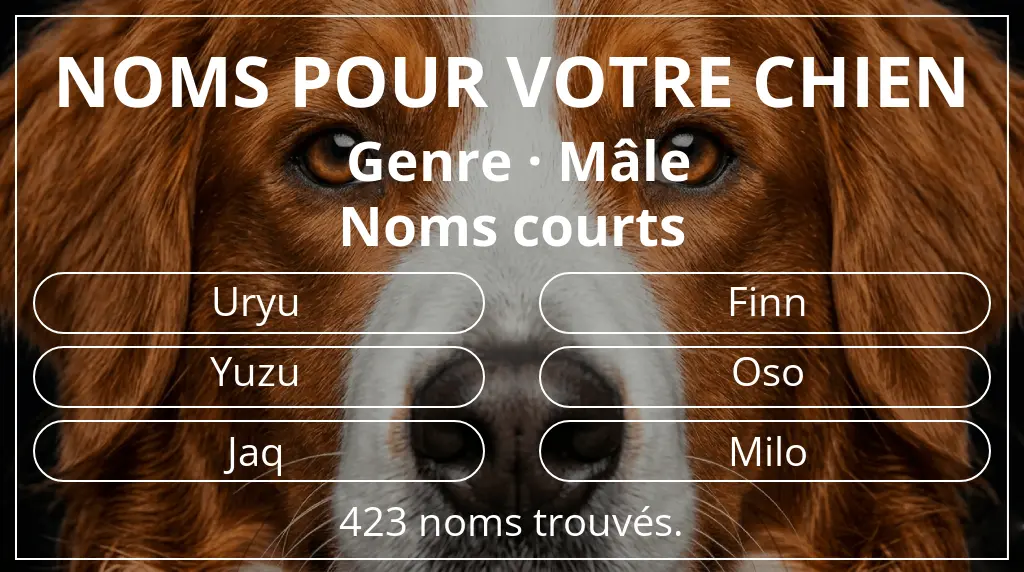 Noms de chiens inspirés de genre mâle et longueur du nom court (2 à 4)