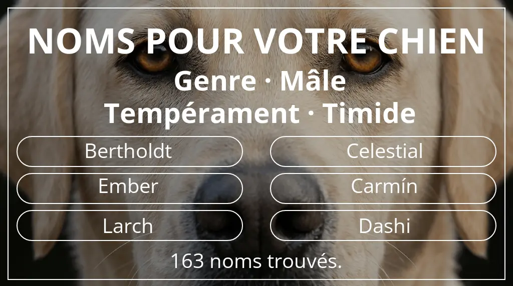 Noms de chiens inspirés de genre mâle et tempérament timide