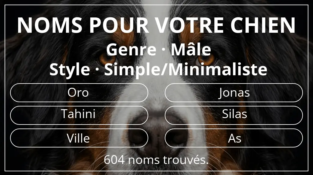 Noms pour chiens inspirés de genre mâle et style simple/minimaliste