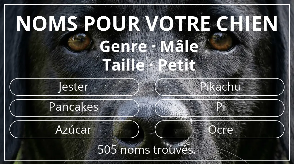 Noms pour chiens inspirés de genre mâle et taille petit