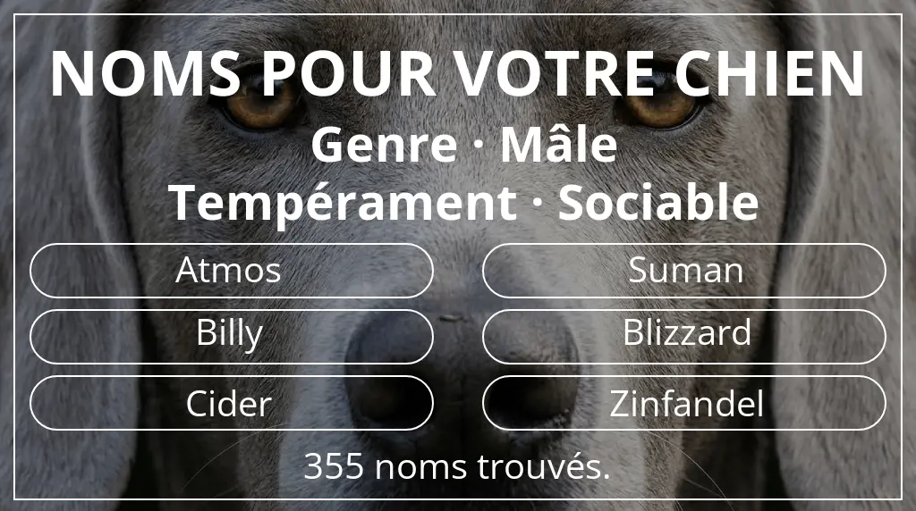 Noms pour chiens inspirés de genre mâle et tempérament sociable