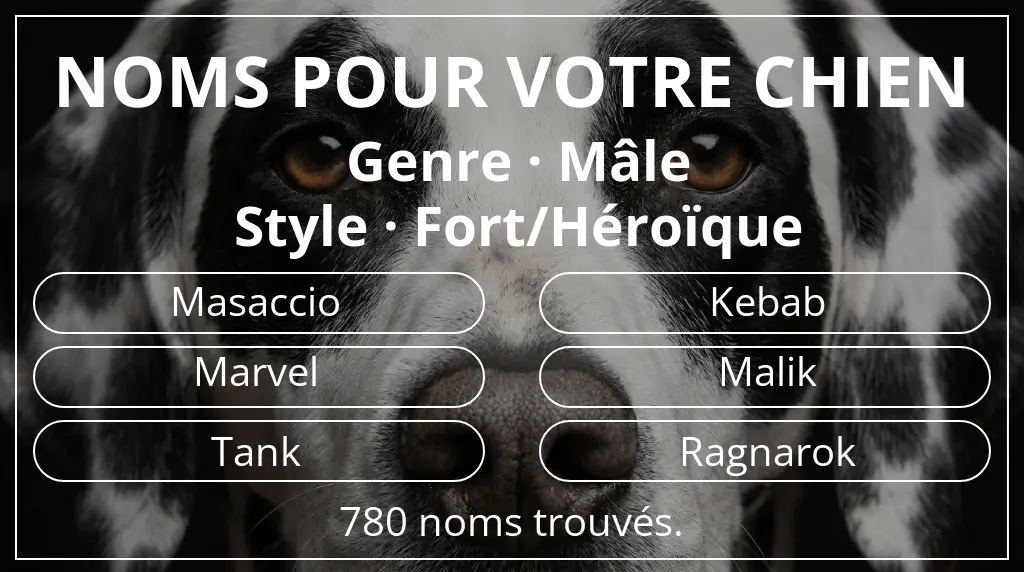 Noms pour chiens inspirés de genre mâle et style fort/héroïque