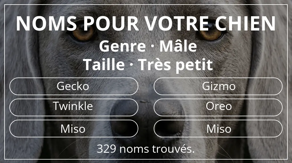 Noms de chiens basés sur genre mâle et taille très petit