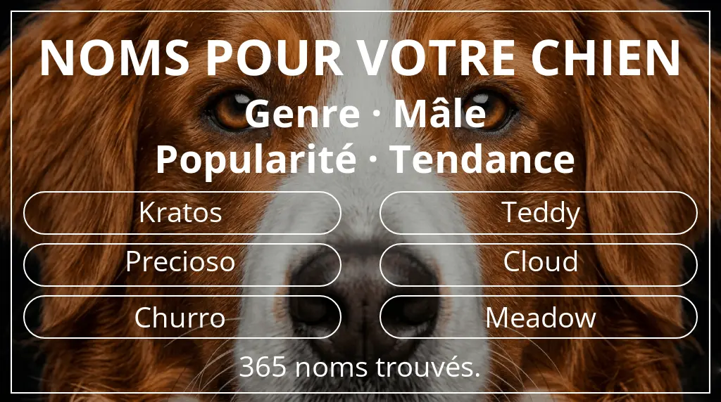 Noms de chiens inspirés de genre mâle et popularité tendance