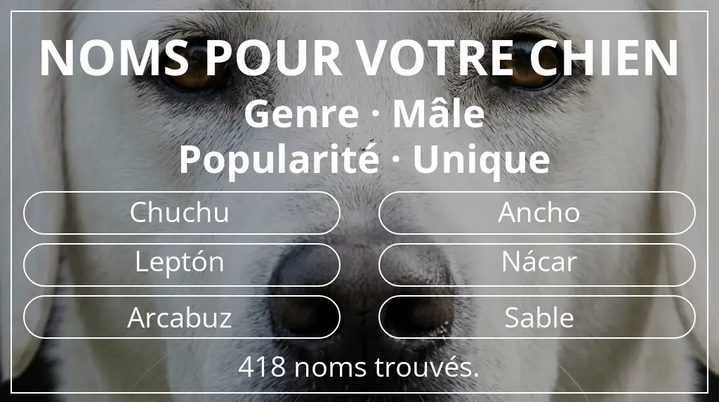Noms de chiens inspirés de genre mâle et popularité unique