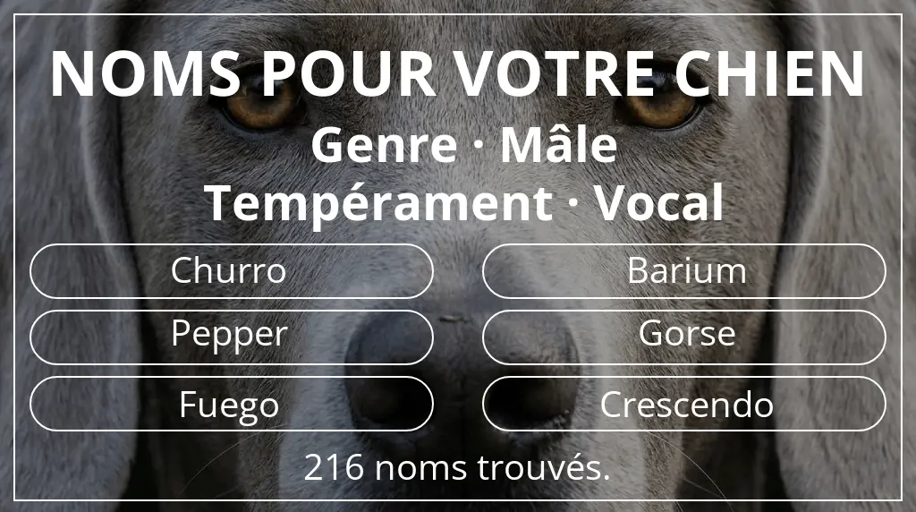 Noms pour chiens inspirés de genre mâle et tempérament vocal