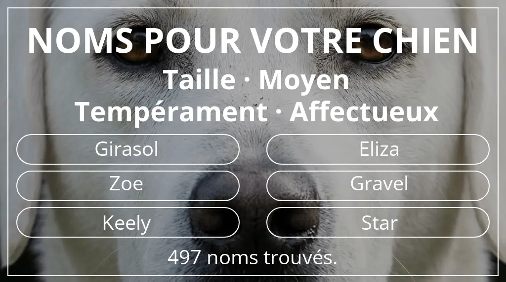 Noms pour chiens inspirés de taille moyen et tempérament affectueux