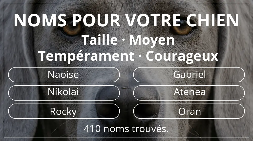 Noms de chiens basés sur taille moyen et tempérament courageux
