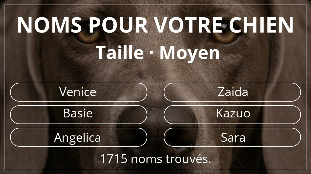 Noms de chiens basés sur taille moyen