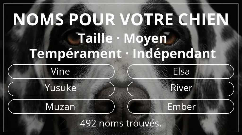 Noms de chiens inspirés de taille moyen et tempérament indépendant