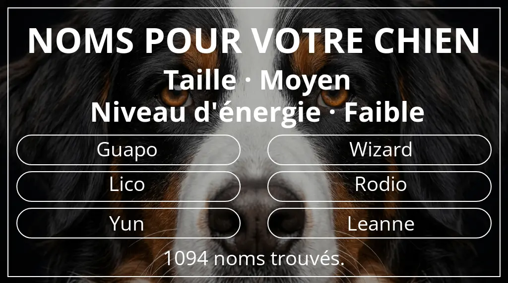 Noms de chiens inspirés de taille moyen et niveau d'énergie faible