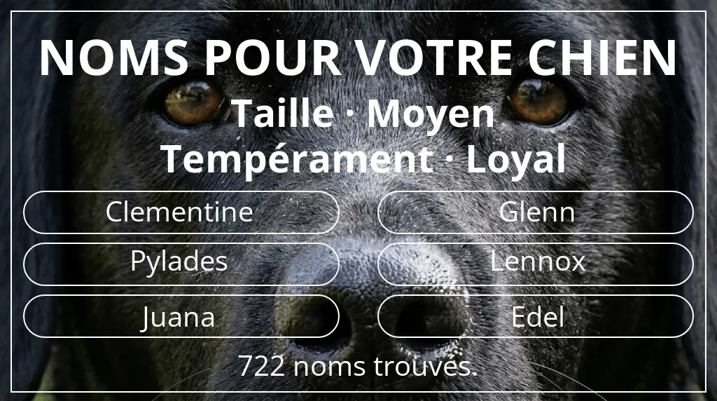 Noms de chiens inspirés de taille moyen et tempérament loyal