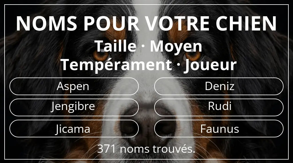 Noms de chiens inspirés de taille moyen et tempérament joueur