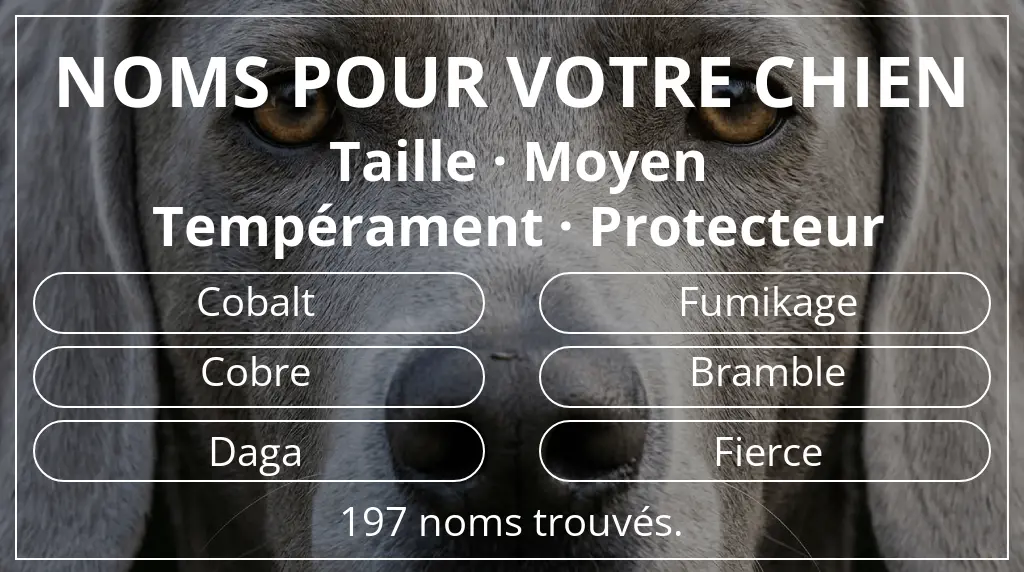 Noms de chiens basés sur taille moyen et tempérament protecteur