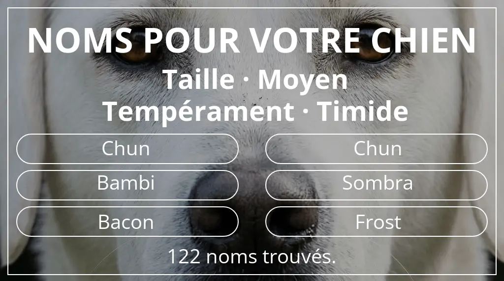 Noms pour chiens basés sur taille moyen et tempérament timide