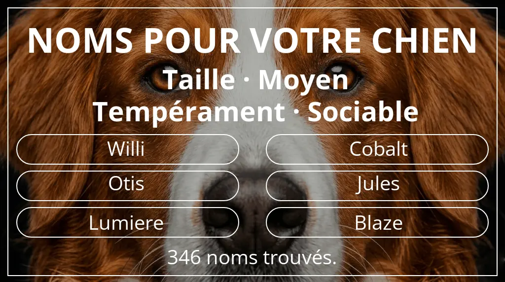 Noms pour chiens inspirés de taille moyen et tempérament sociable