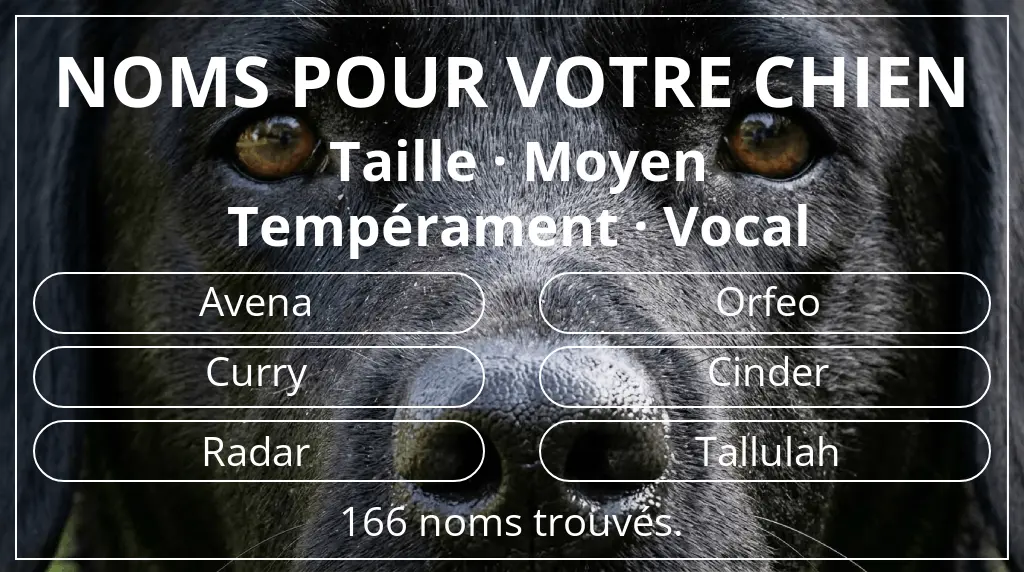 Noms pour chiens basés sur taille moyen et tempérament vocal