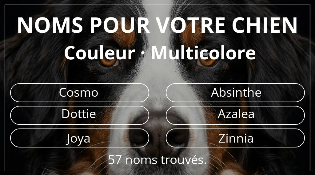 Noms de chiens basés sur couleur multicolore