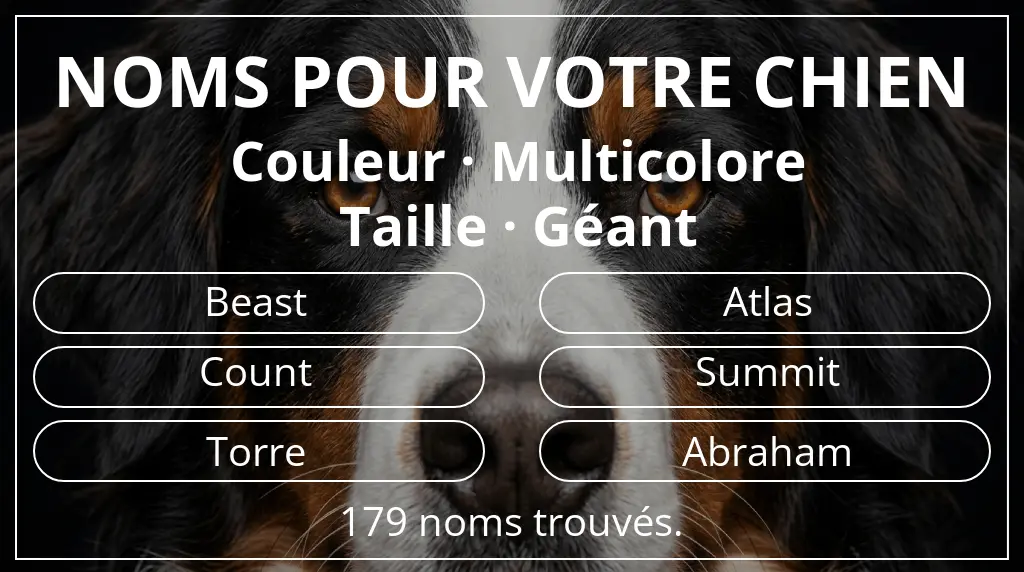 Noms pour chiens basés sur couleur multicolore et taille géant