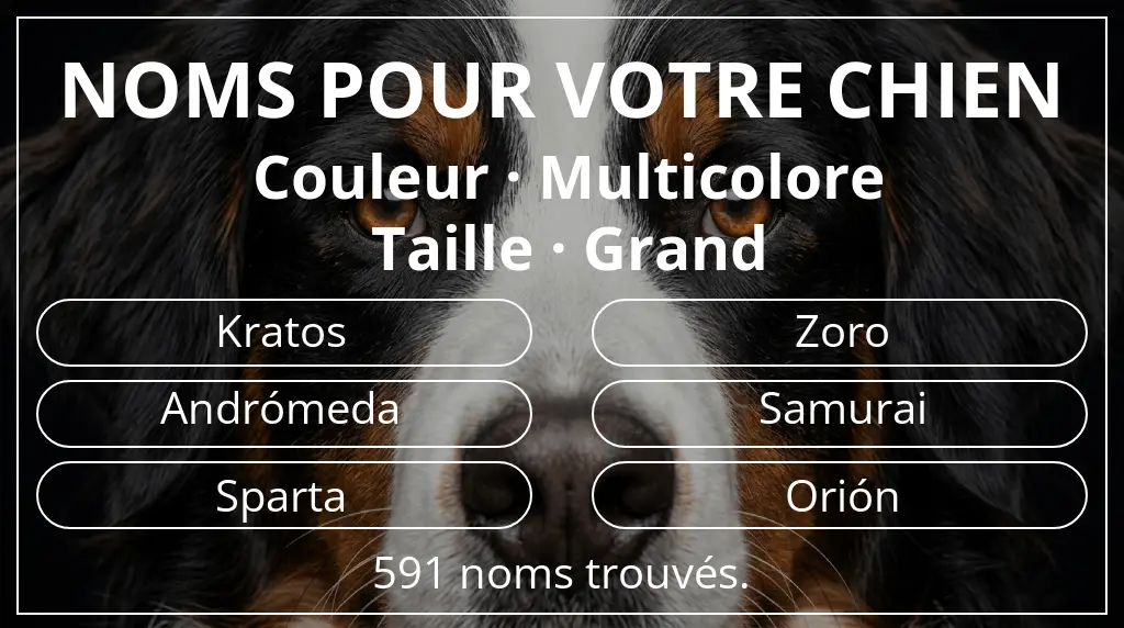 Noms pour chiens basés sur couleur multicolore et taille grand