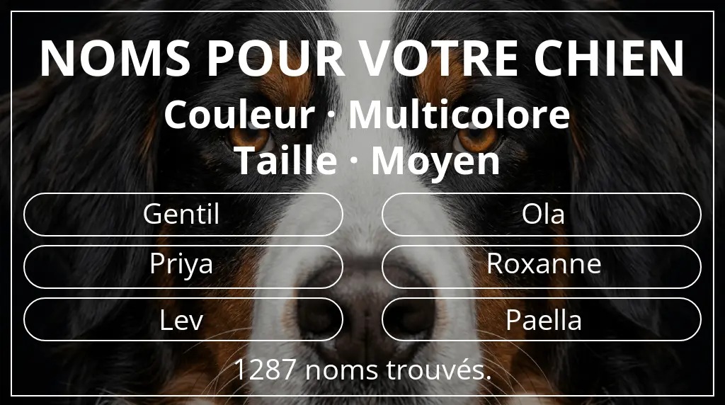 Noms de chiens inspirés de couleur multicolore et taille moyen