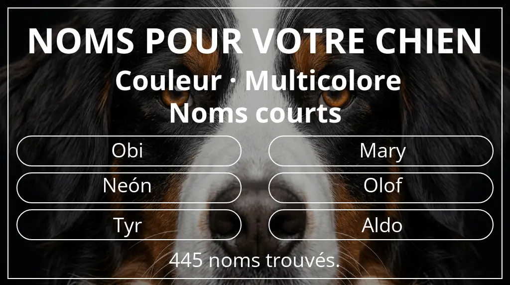 Noms pour chiens basés sur couleur multicolore et longueur du nom court (2 à 4)