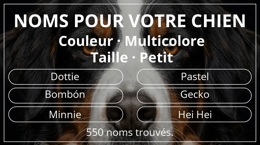Noms pour chiens basés sur couleur multicolore et taille petit