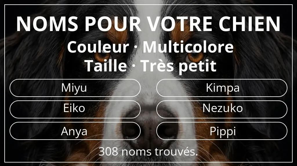 Noms pour chiens inspirés de couleur multicolore et taille très petit
