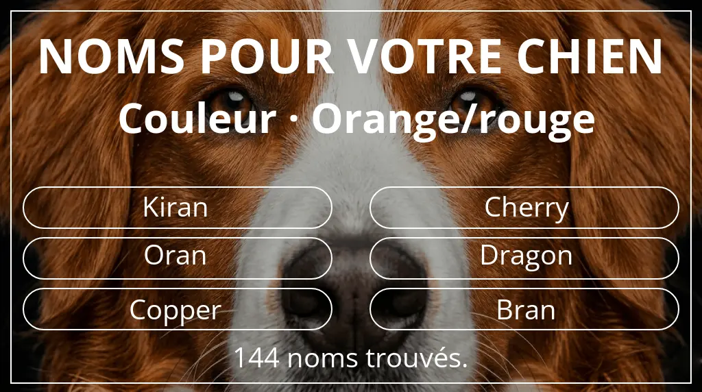 Noms pour chiens basés sur couleur orange/rouge