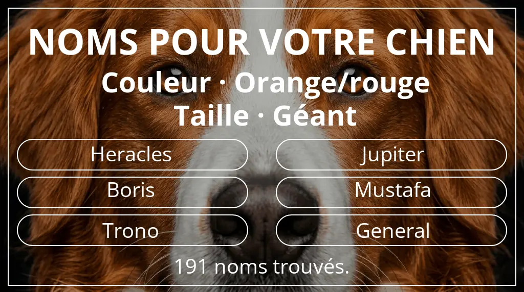 Noms de chiens basés sur couleur orange/rouge et taille géant