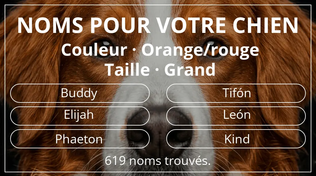Noms pour chiens basés sur couleur orange/rouge et taille grand