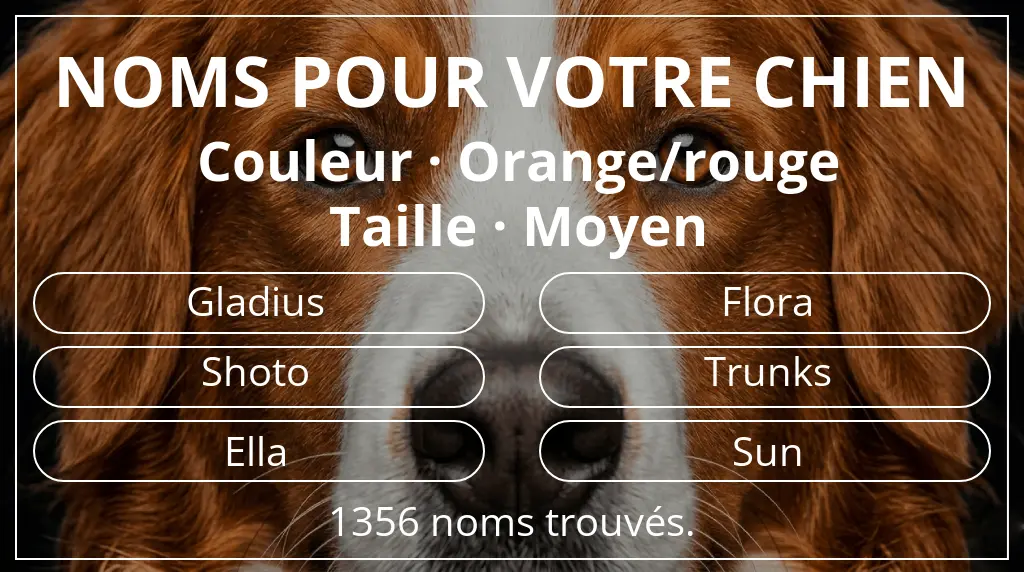 Noms pour chiens basés sur couleur orange/rouge et taille moyen